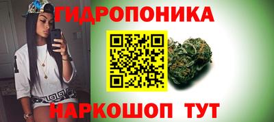 спиды Бийск