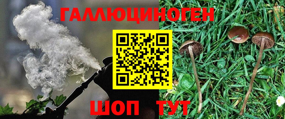 Псилоцибиновые грибы мицелий Будённовск