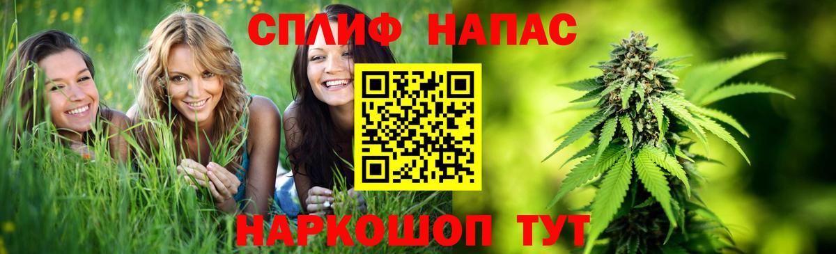 Конопля тримм Будённовск